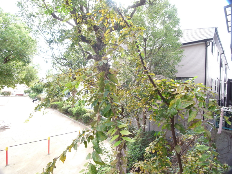 写真36