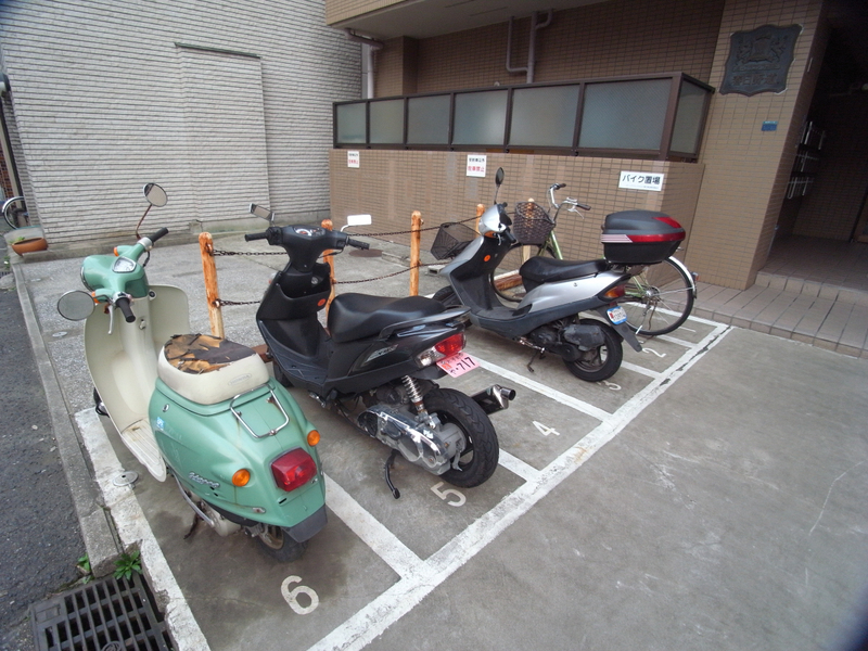 写真19