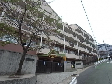小学校 写真21
