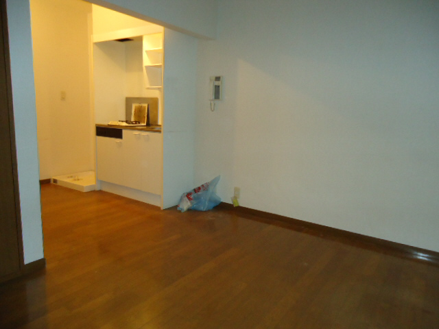 居室 洋室 写真8