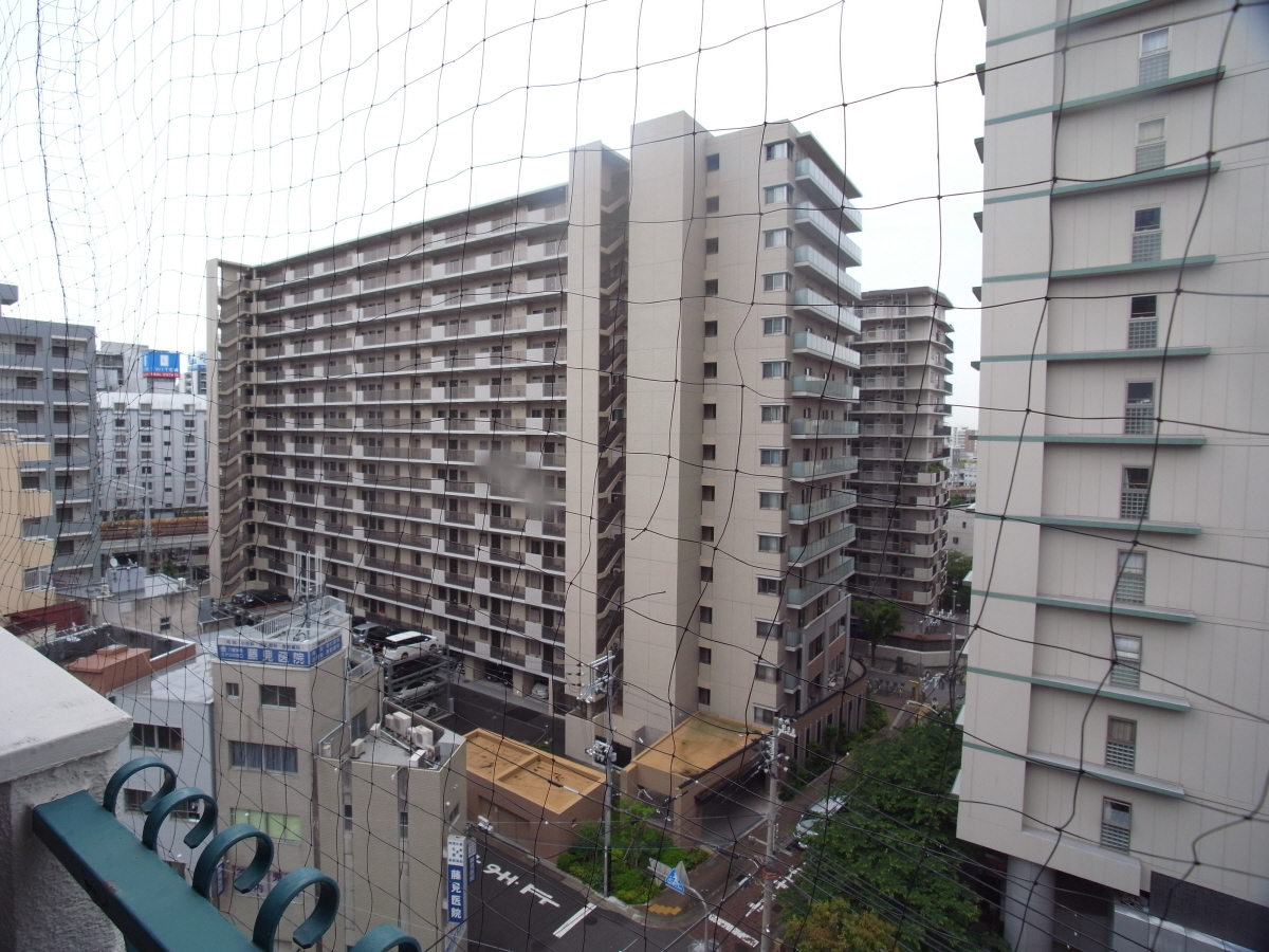眺望 写真15