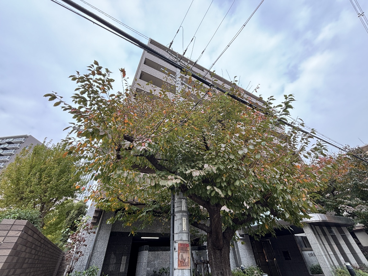 リーガル新神戸パークサイド