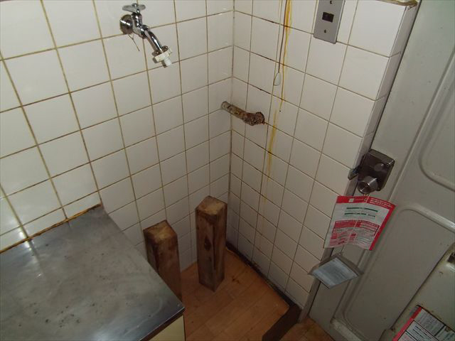 洗面所 洗濯機置場 写真10