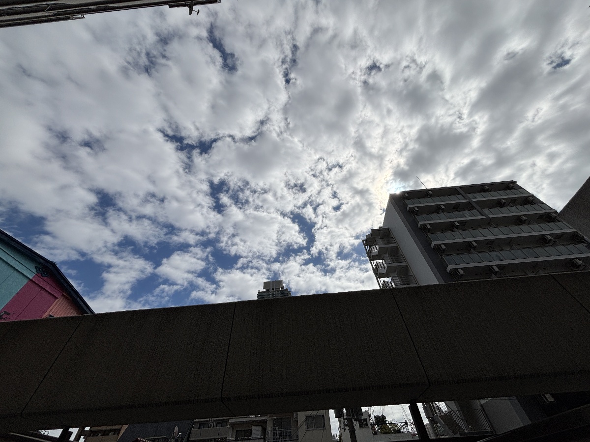 眺望 写真32