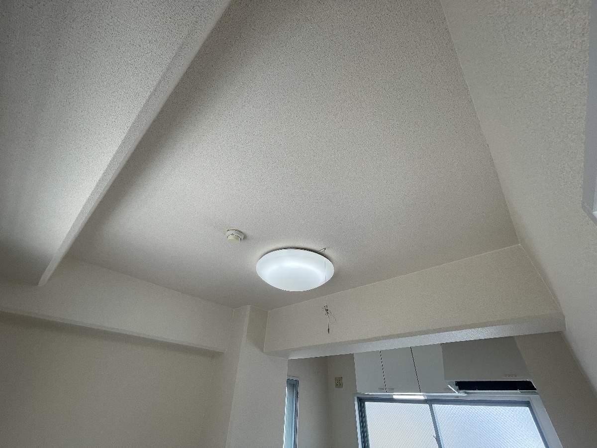 写真28