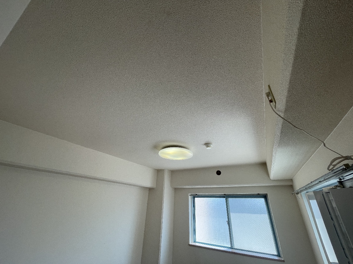 写真29