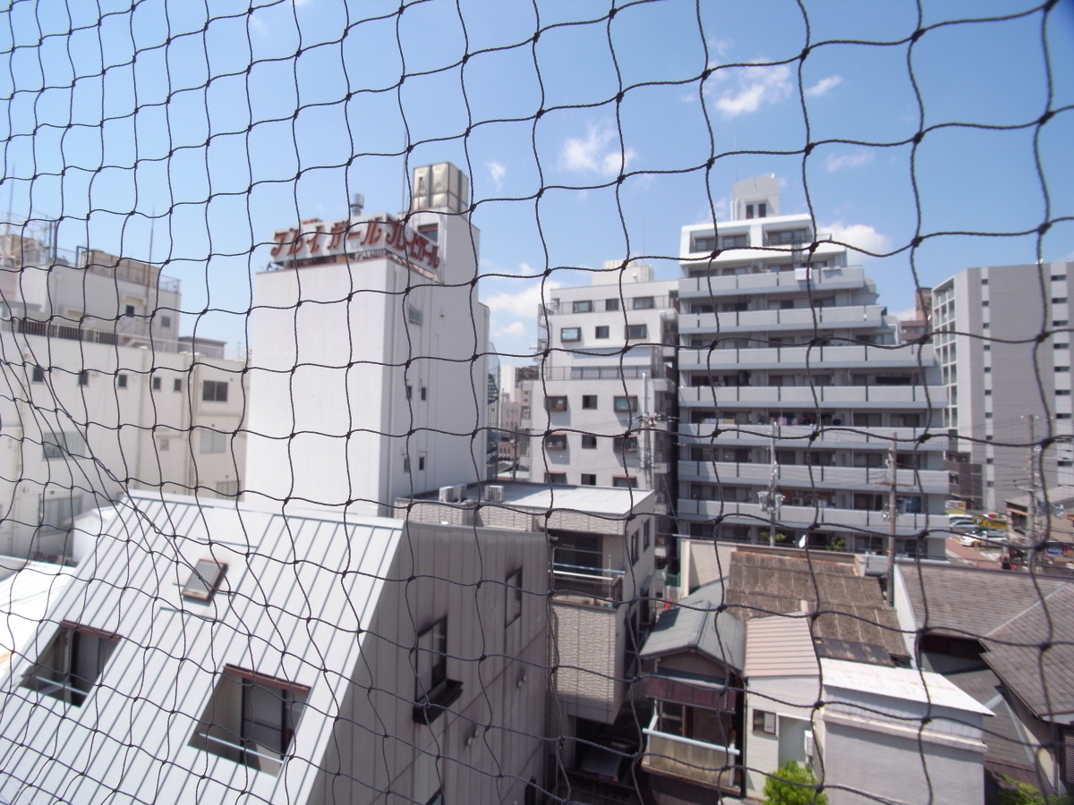 眺望 写真15
