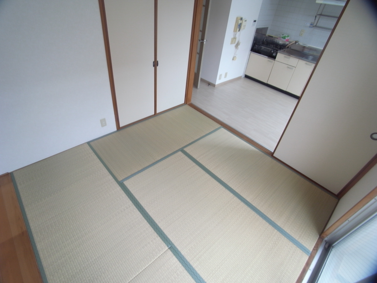 写真17