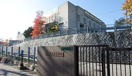 山の手小学校 写真21