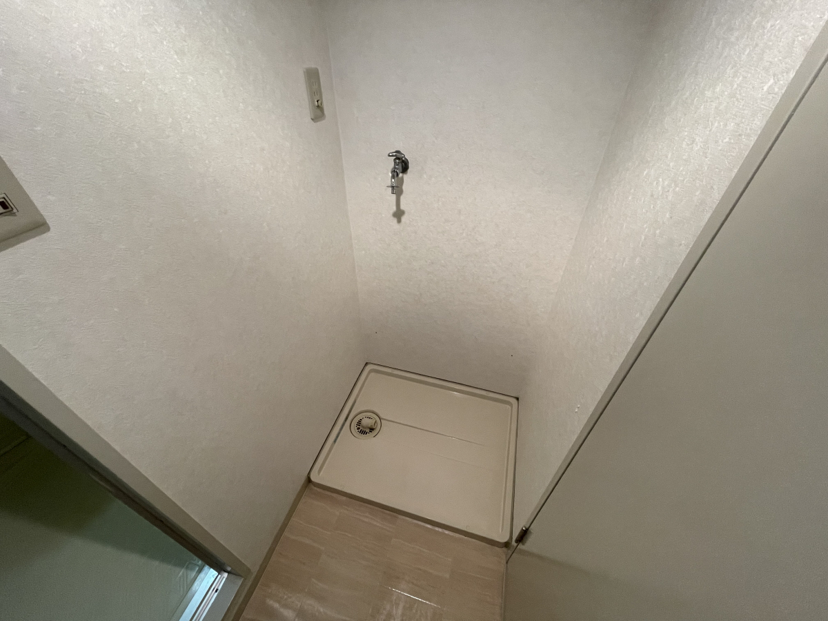 写真19