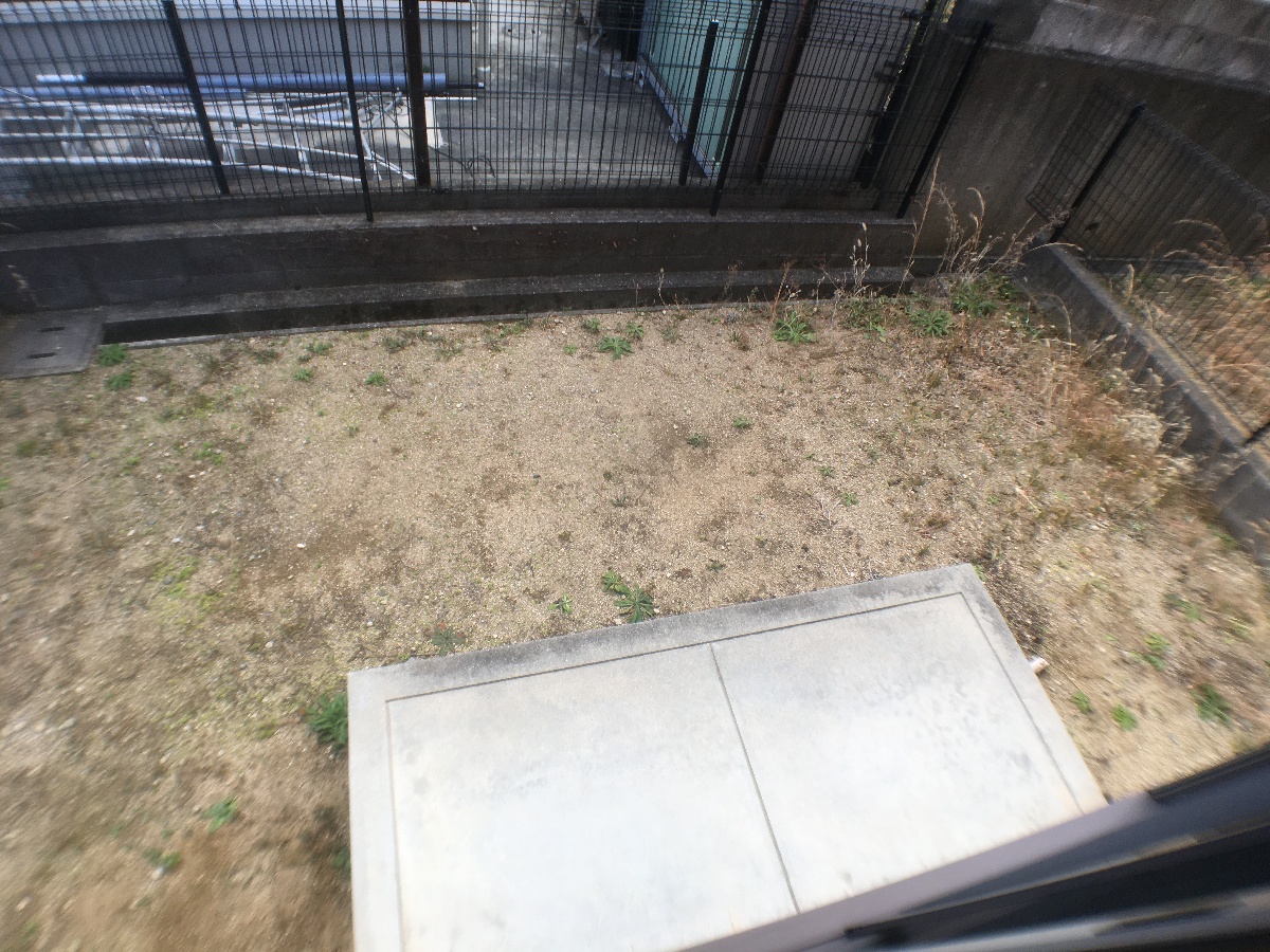 庭 写真18
