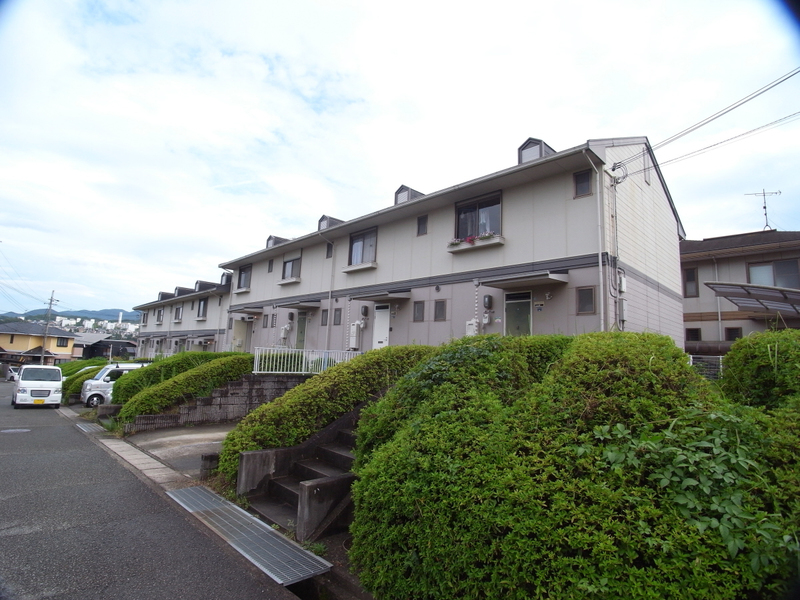 今村ハイエリーナ