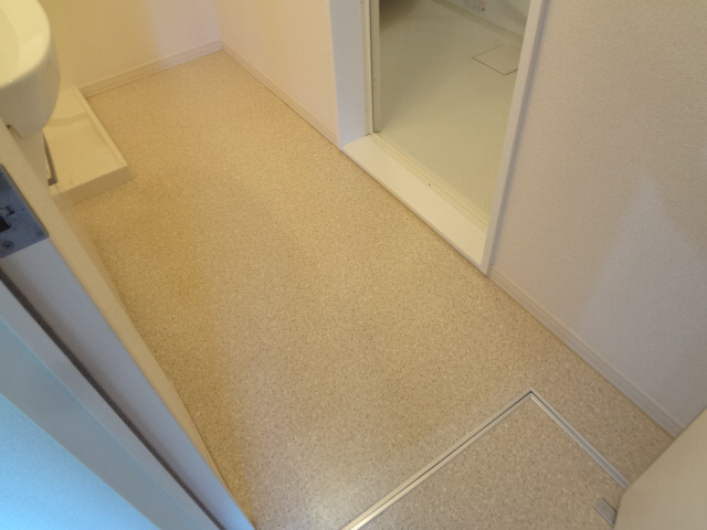 内装 脱衣所 写真2