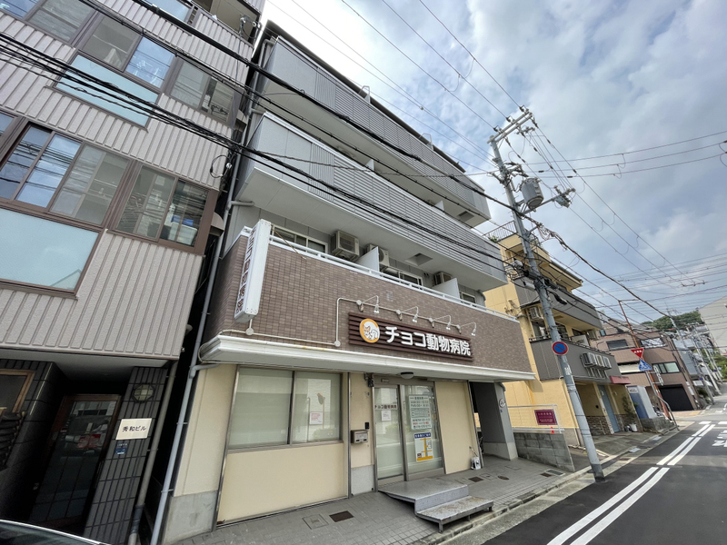 カーサニチェー