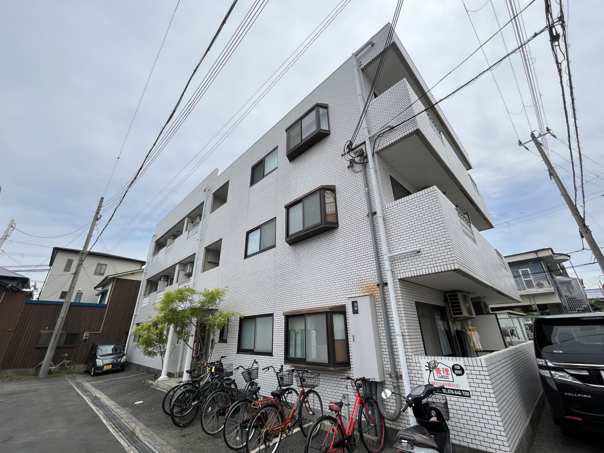 パレドルミエール
