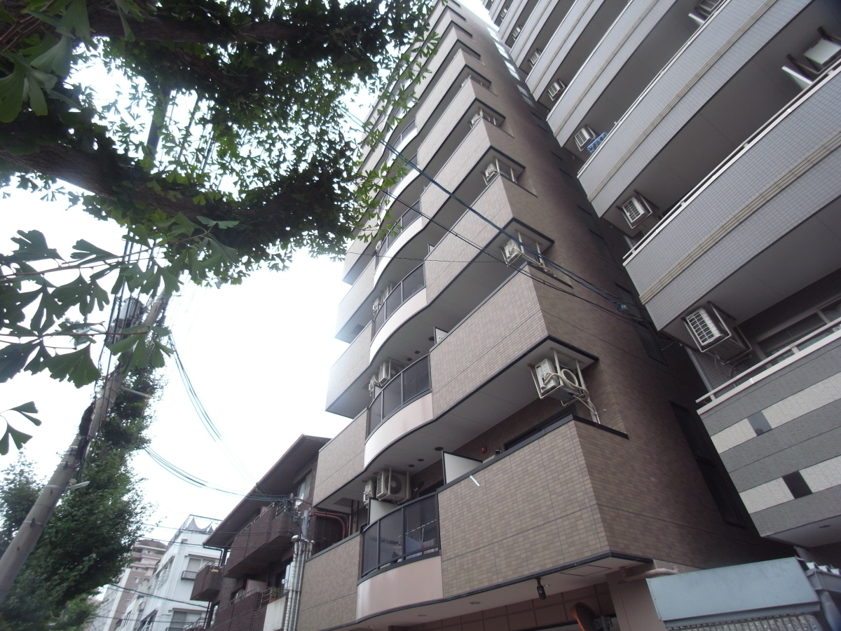 サンモールアベニュー