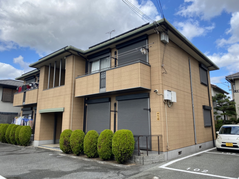 バリュージュヴィオラ