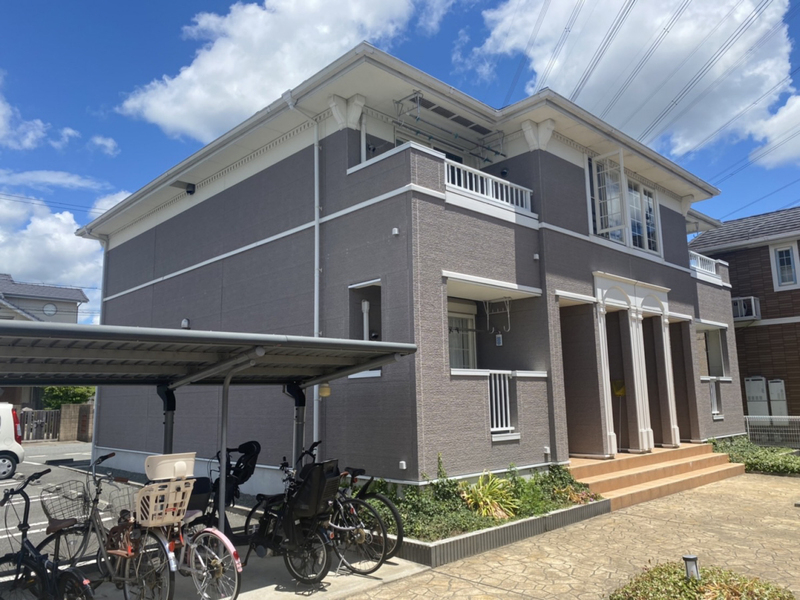 ドルフ・アカネA