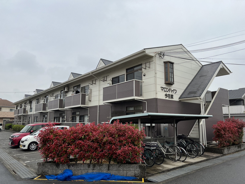 マロン・ハイツ今在家