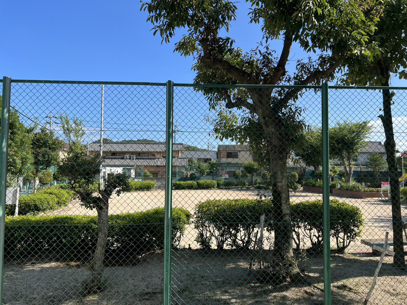 眺望 写真18