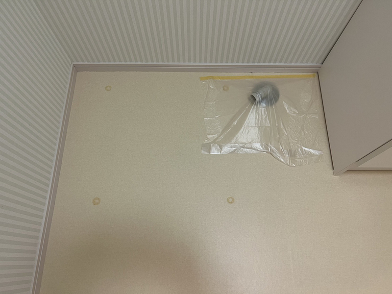 写真29