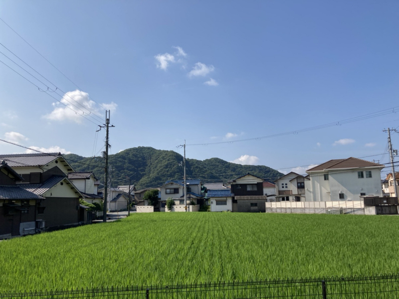 眺望 写真28
