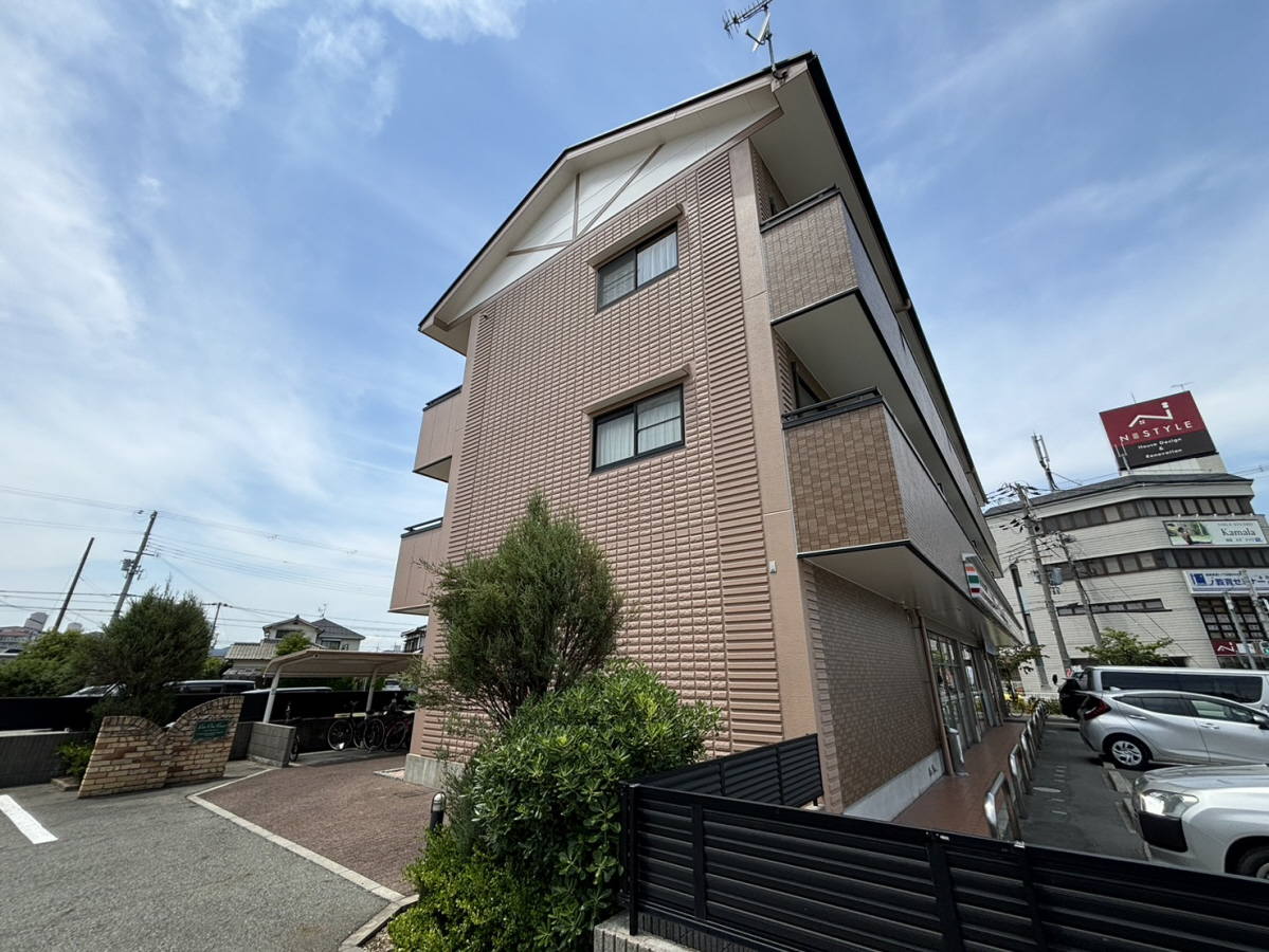 ライブワンコート