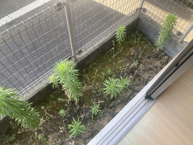 バルコニー・ベランダ 写真16