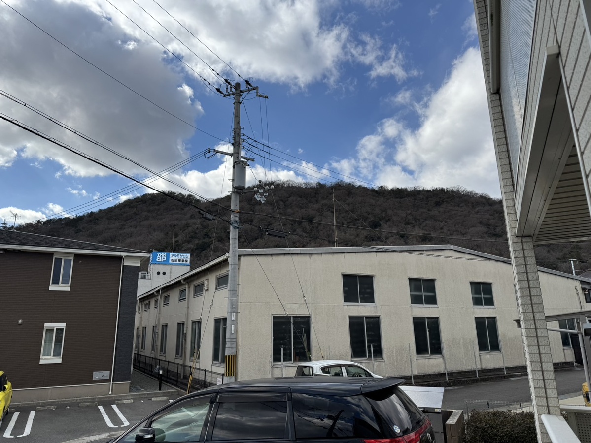 写真2