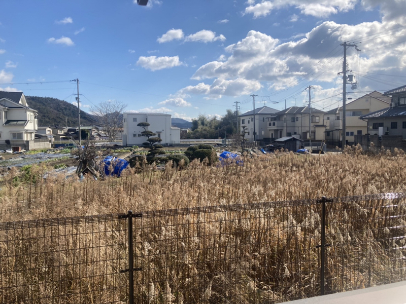 眺望 写真28