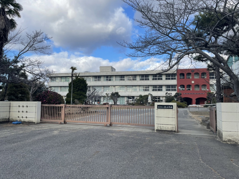 社小学校まで686m (徒歩9分) 写真21