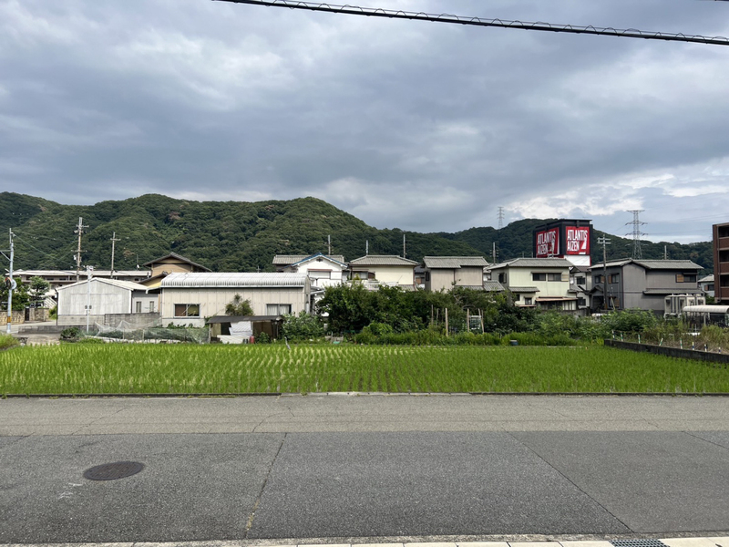 眺望 写真19