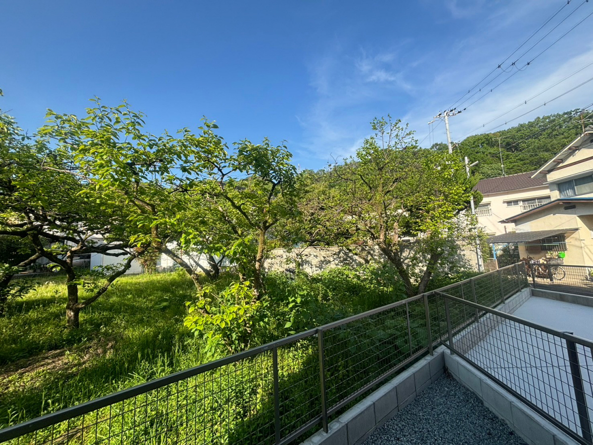 眺望 写真28