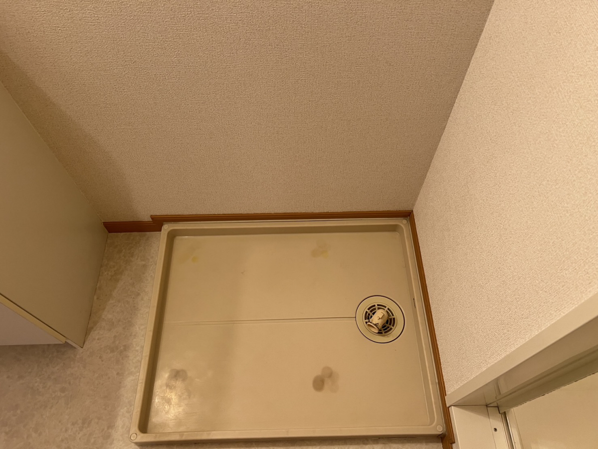 写真28