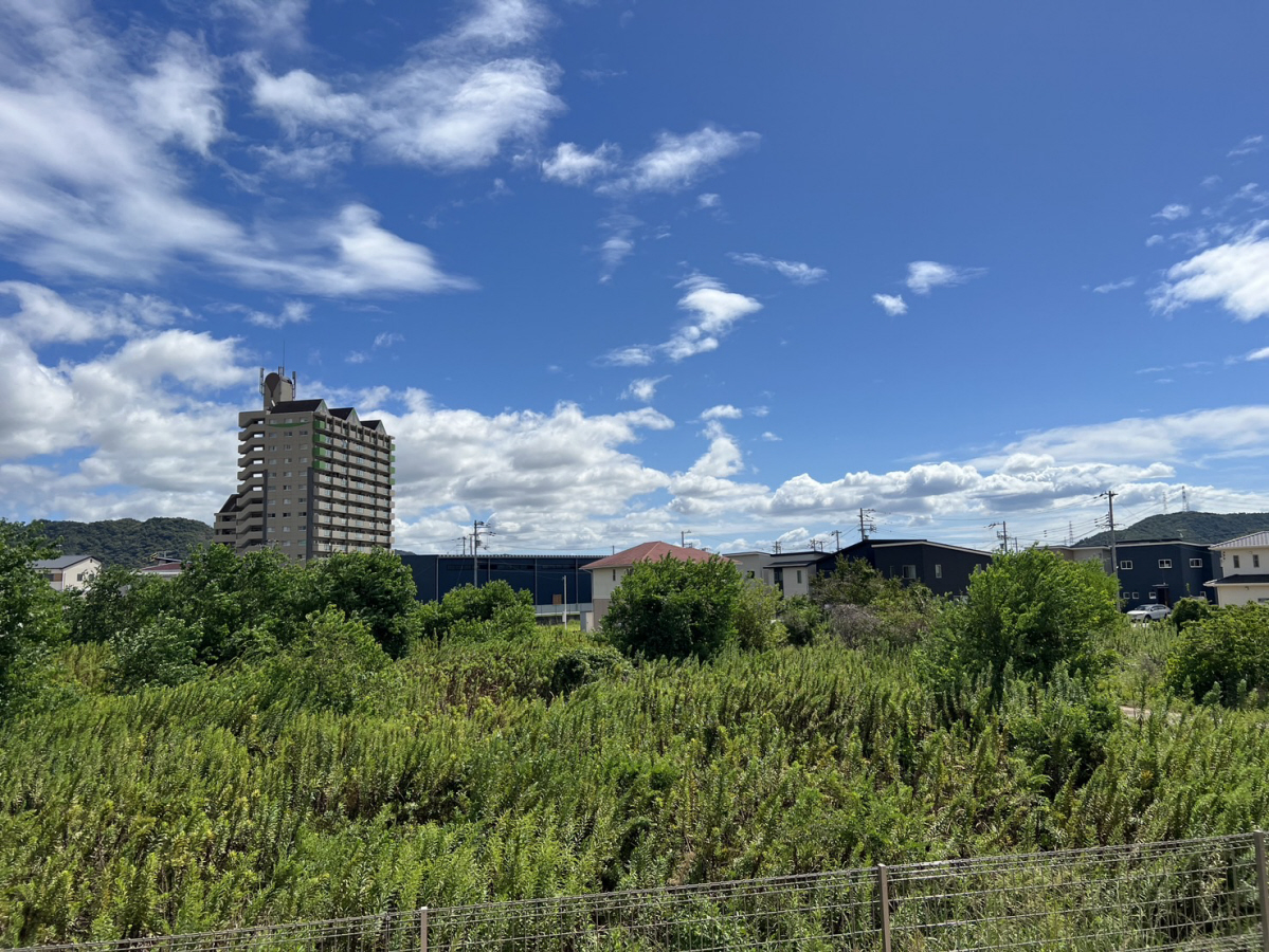 眺望 写真19
