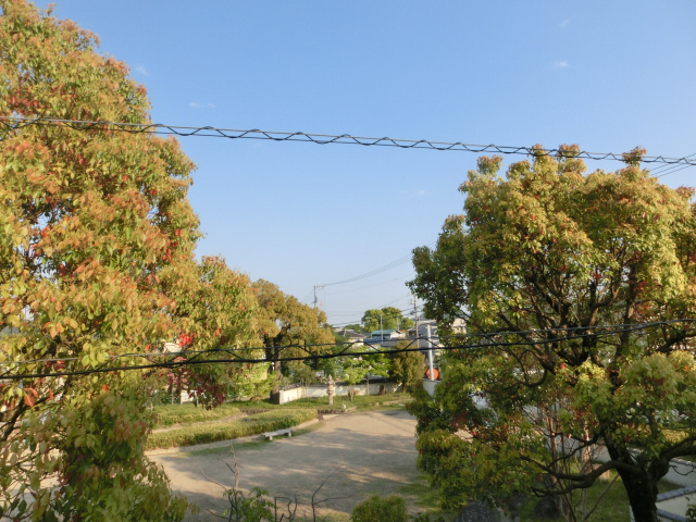 眺望 写真28