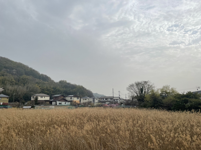 眺望 写真17