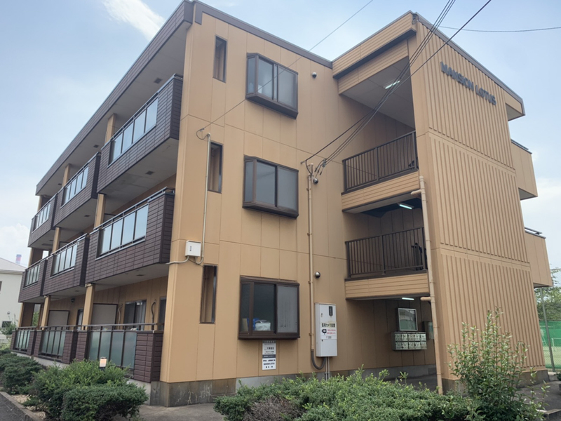 ＭＡＮＳＩＯＮ　ＬＯＴＵＳ