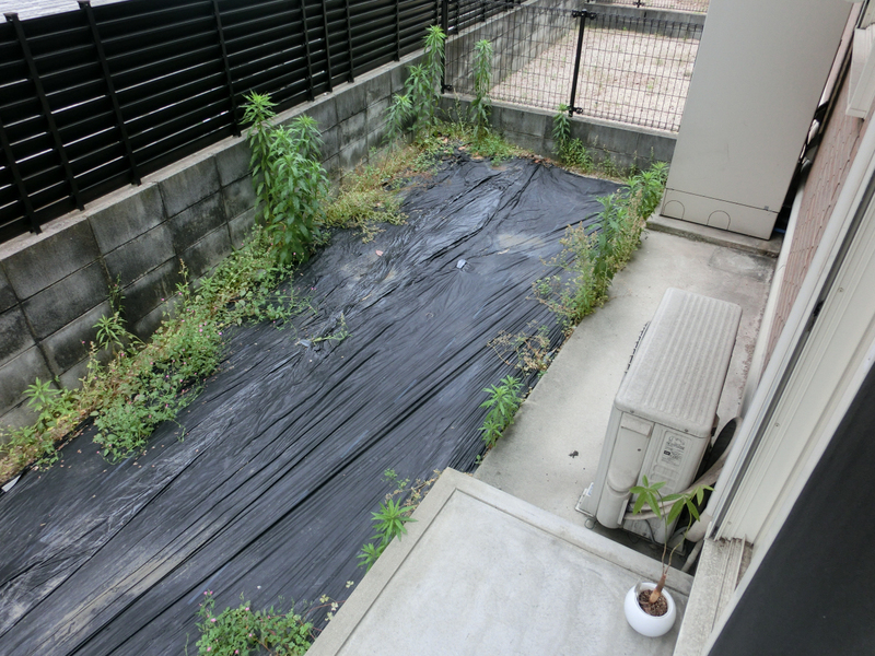 庭 写真17