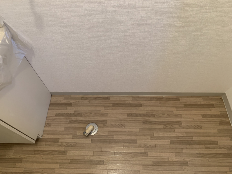 写真28