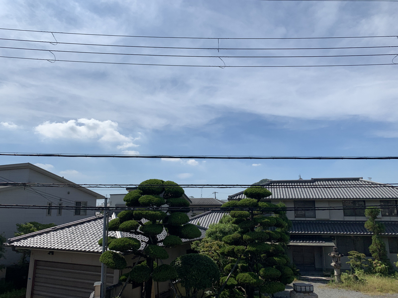 眺望 写真19