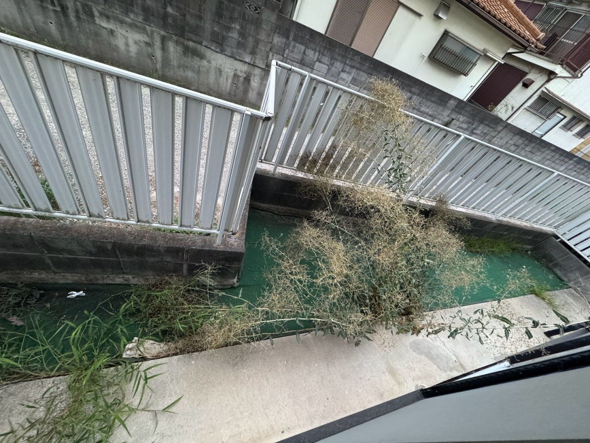 庭 写真20