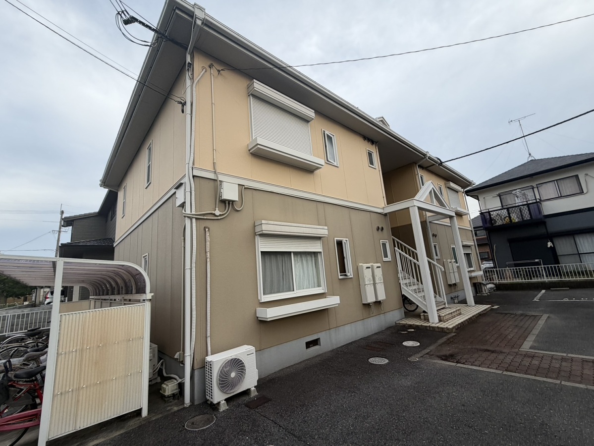 ＭＡＩＳＯＮ　ＳＯＮＥ