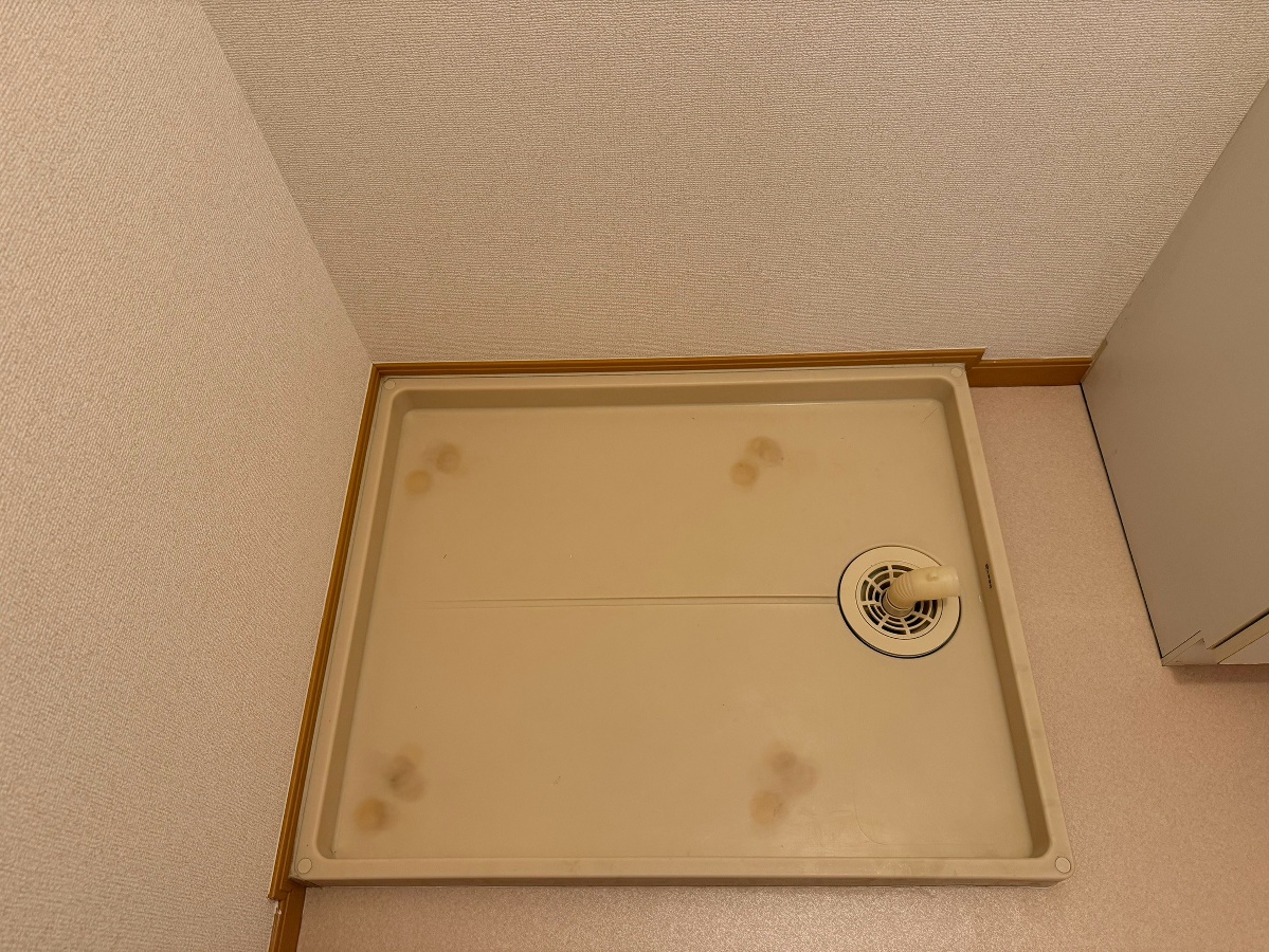 洗面所 写真12