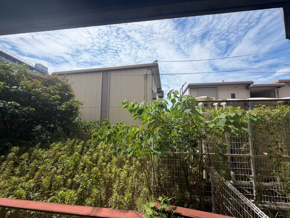 眺望 写真28