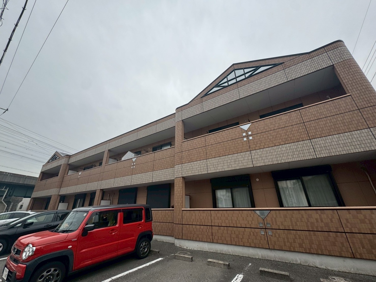 パンプルムース