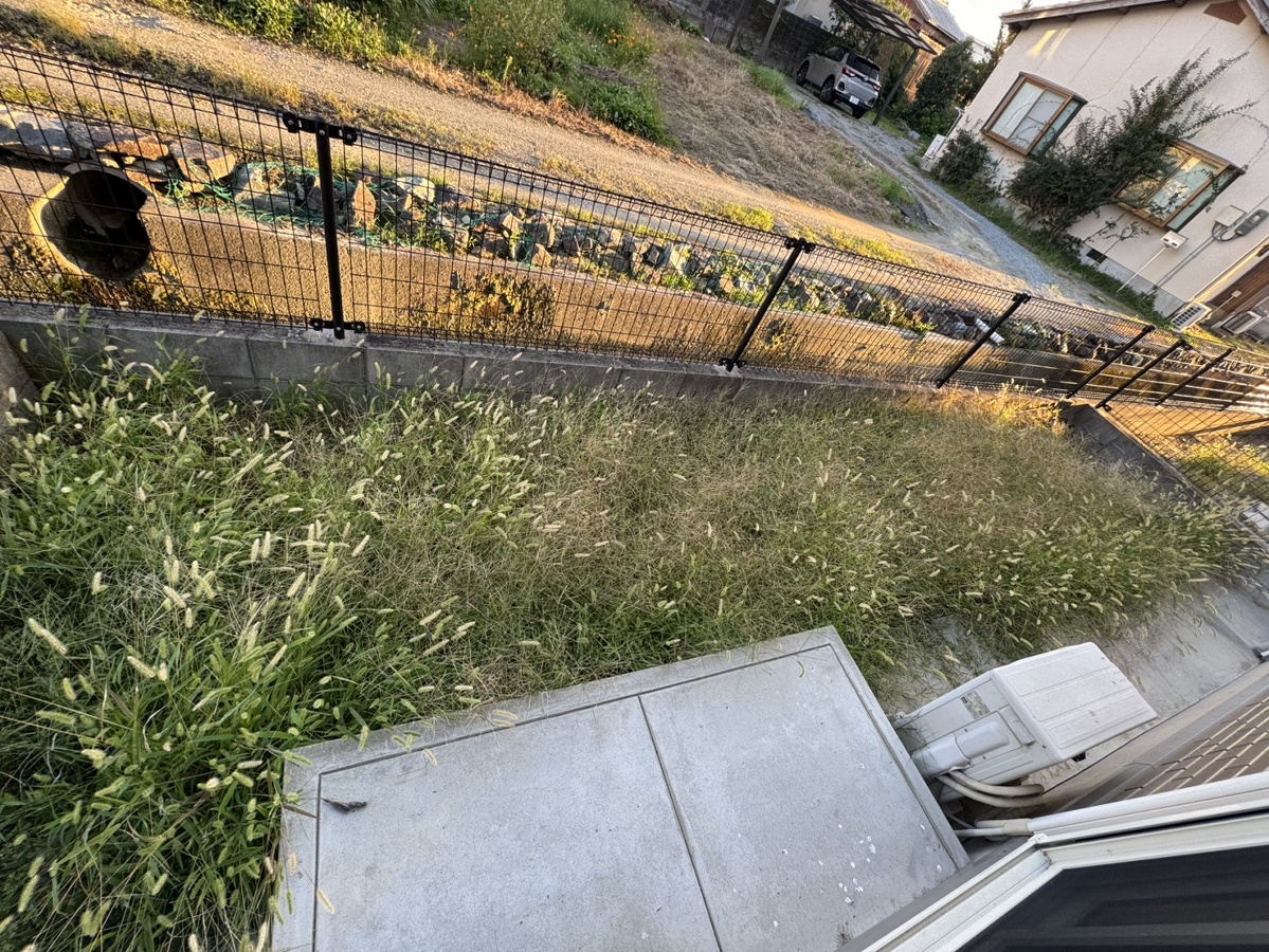 庭 写真18