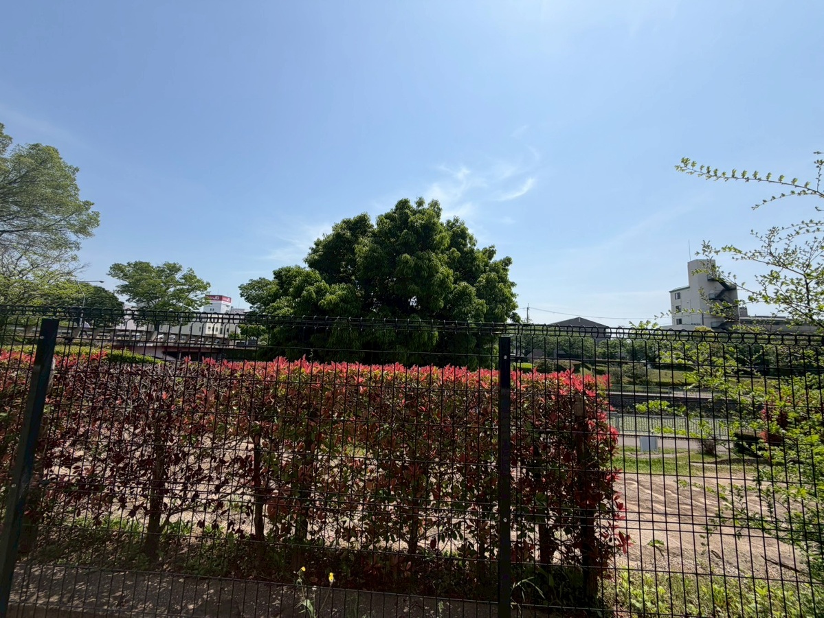 眺望 写真28