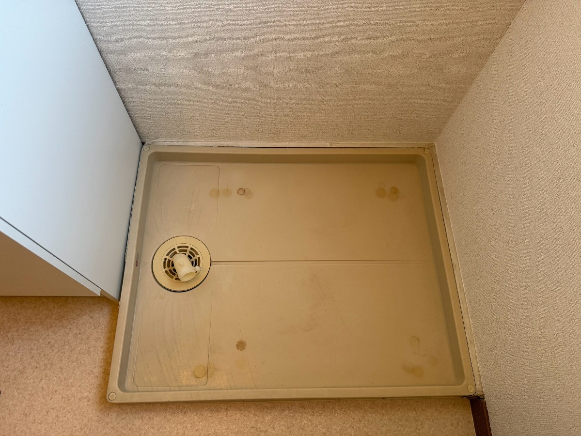 洗面所 写真12