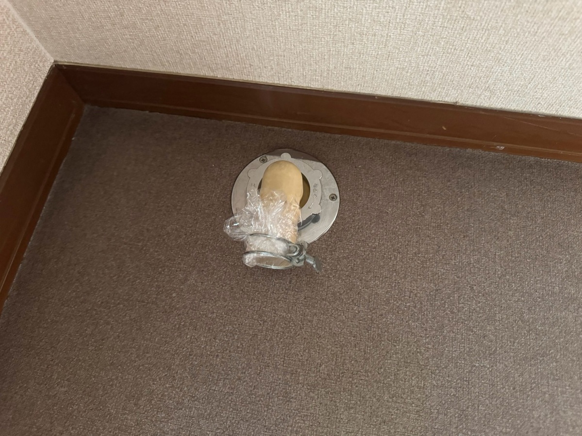 洗面所 写真13